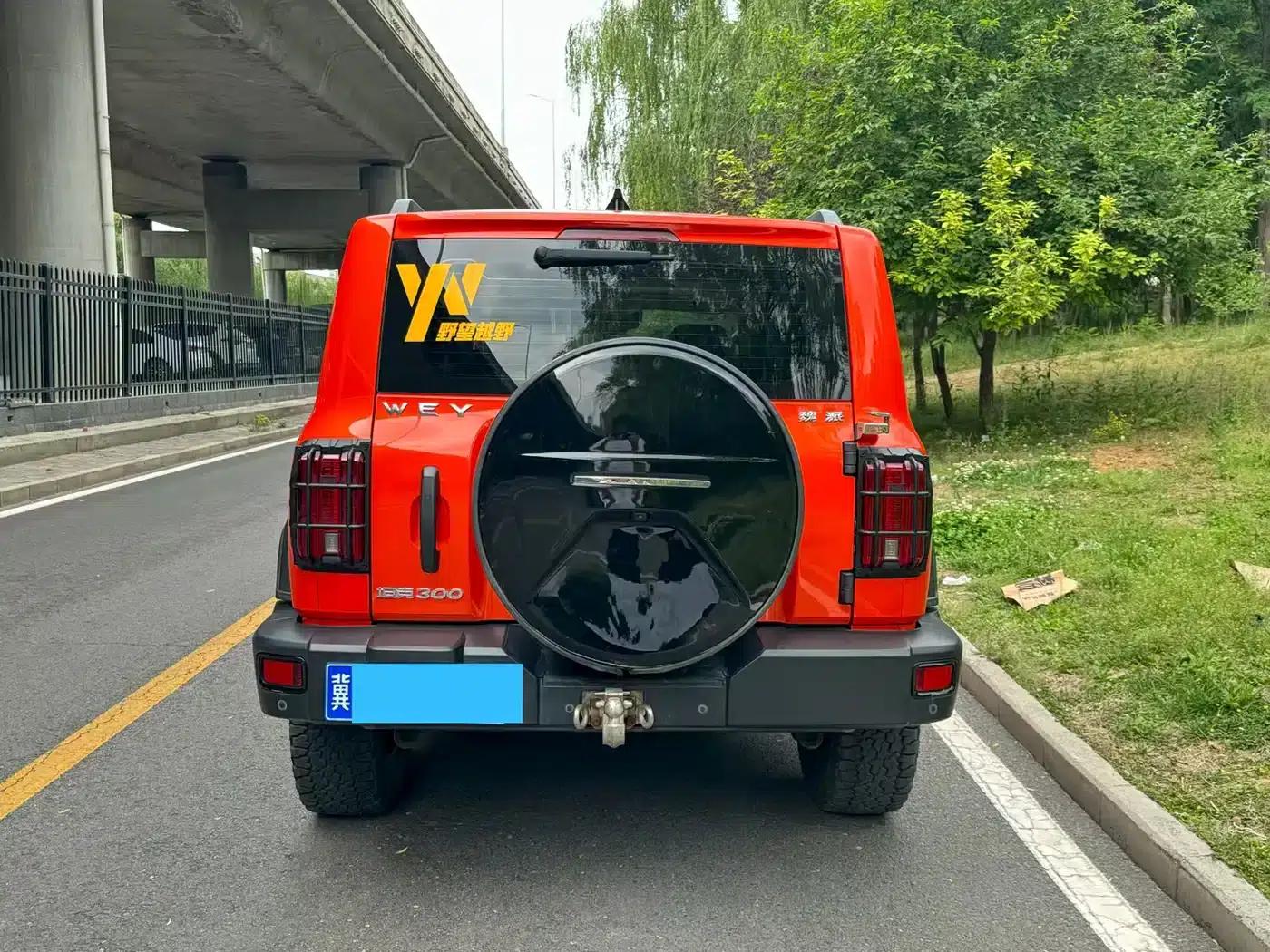 Tank 300 2021 Off-Road Edition 2.0T Conqueror — миниатюра 4