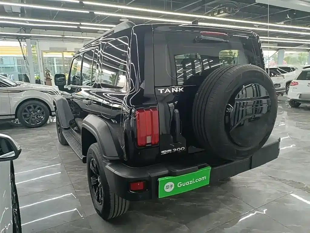 Tank 300 2023 Off-Road Edition 2.0T Conqueror — миниатюра 5
