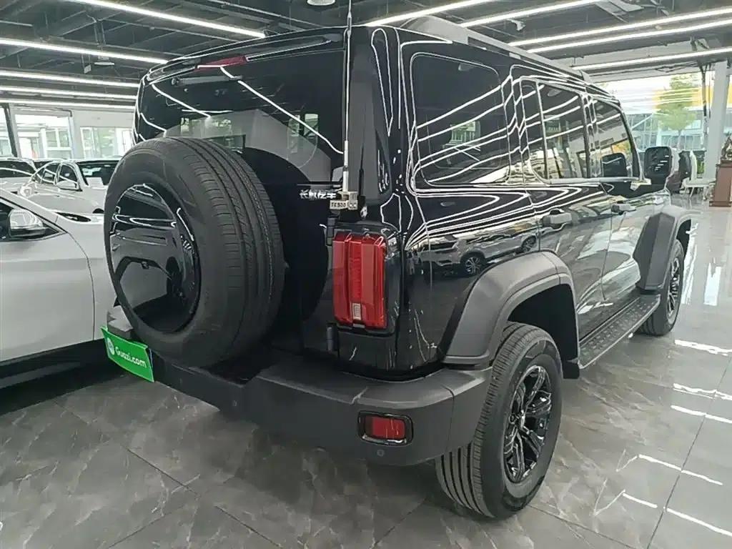 Tank 300 2023 Off-Road Edition 2.0T Conqueror — миниатюра 7