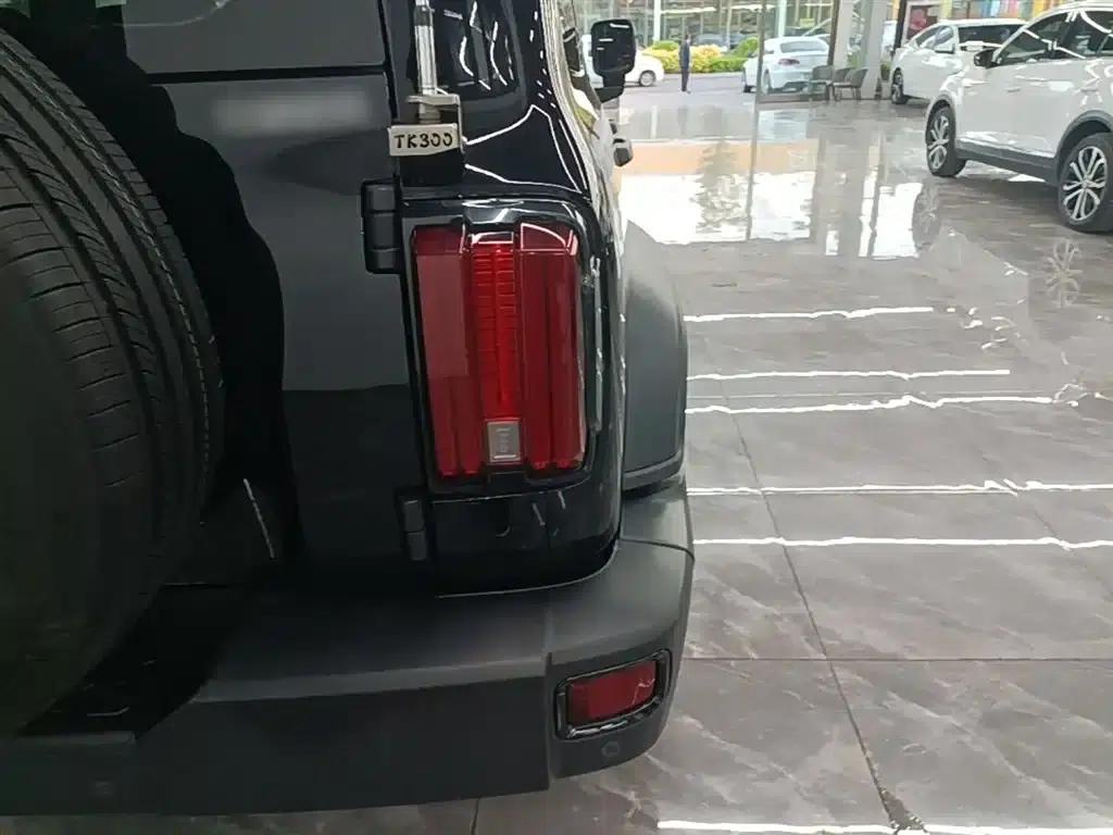 Tank 300 2023 Off-Road Edition 2.0T Conqueror — миниатюра 8