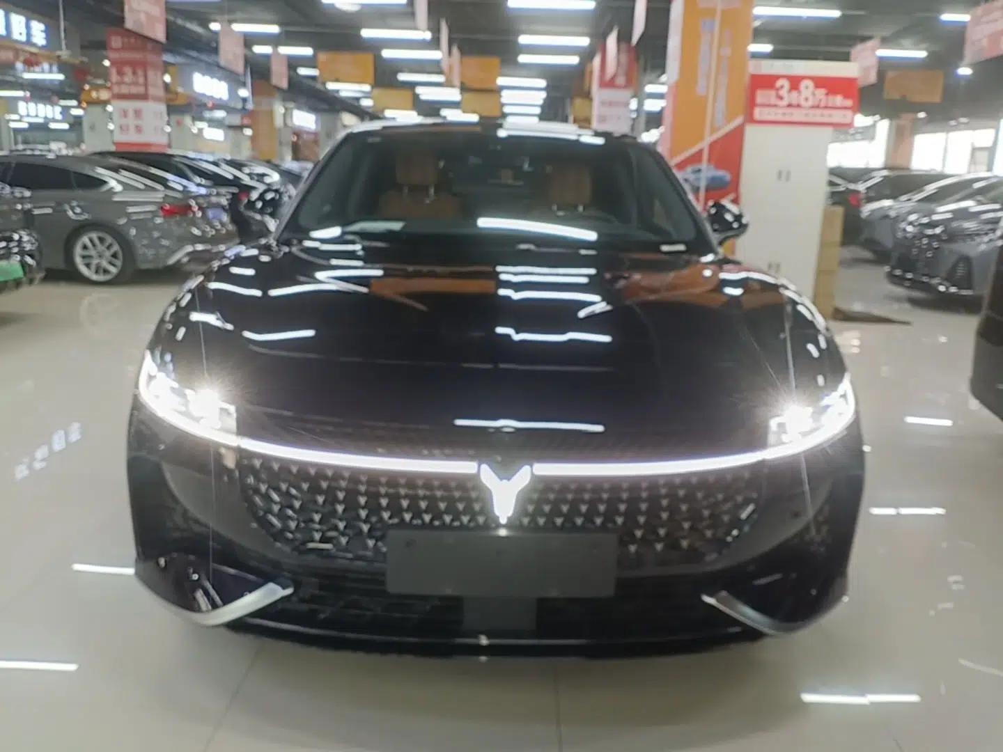 VOYAH PASSION 2024 PHEV Four-Wheel Drive Ultra-Long Range Flagship Model — миниатюра 2