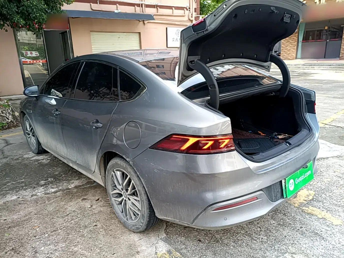 BYD Qin PLUS 2021 DM-i 55KM Flagship Model — миниатюра 4