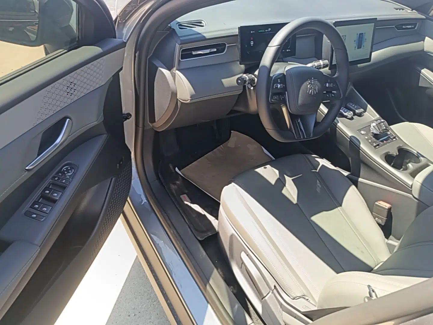 BYD Qin PLUS 2025 DM-i Smart Drive 55KM Leading Model — миниатюра 19