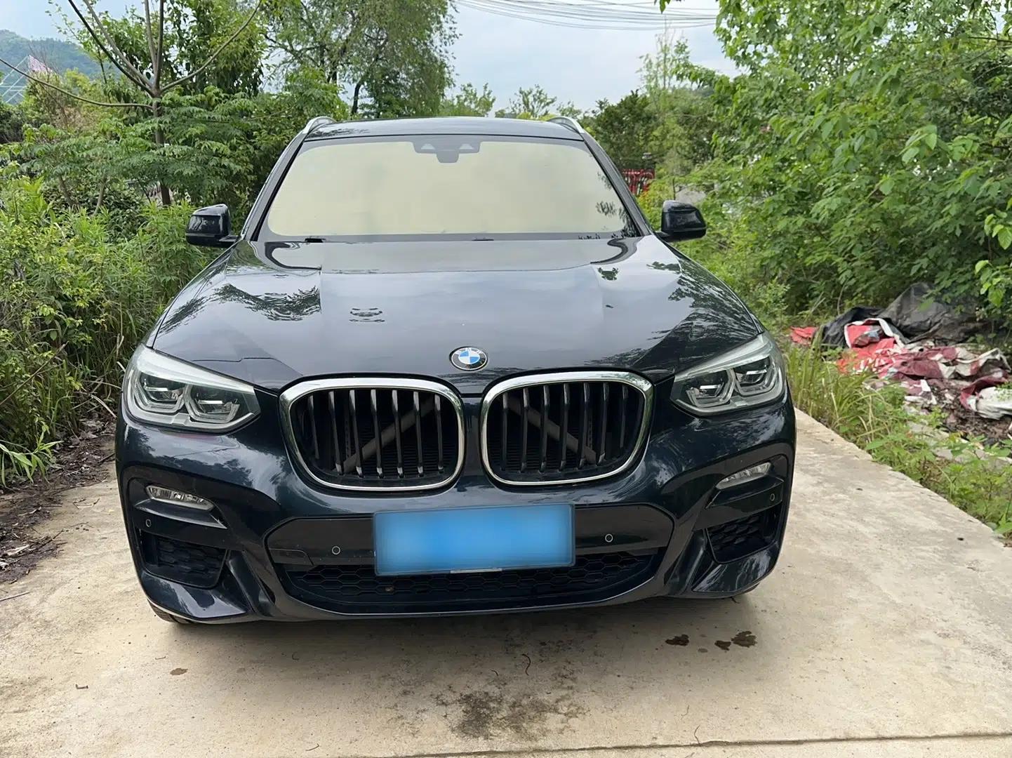 BMW X3 2018 xDrive25i M Sport Package China VI — миниатюра 3