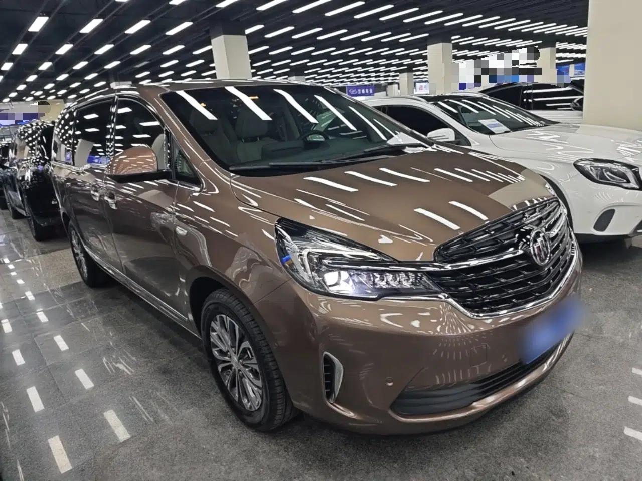 Buick GL8 2020 Land Business Class 652T Premium Model — миниатюра 3