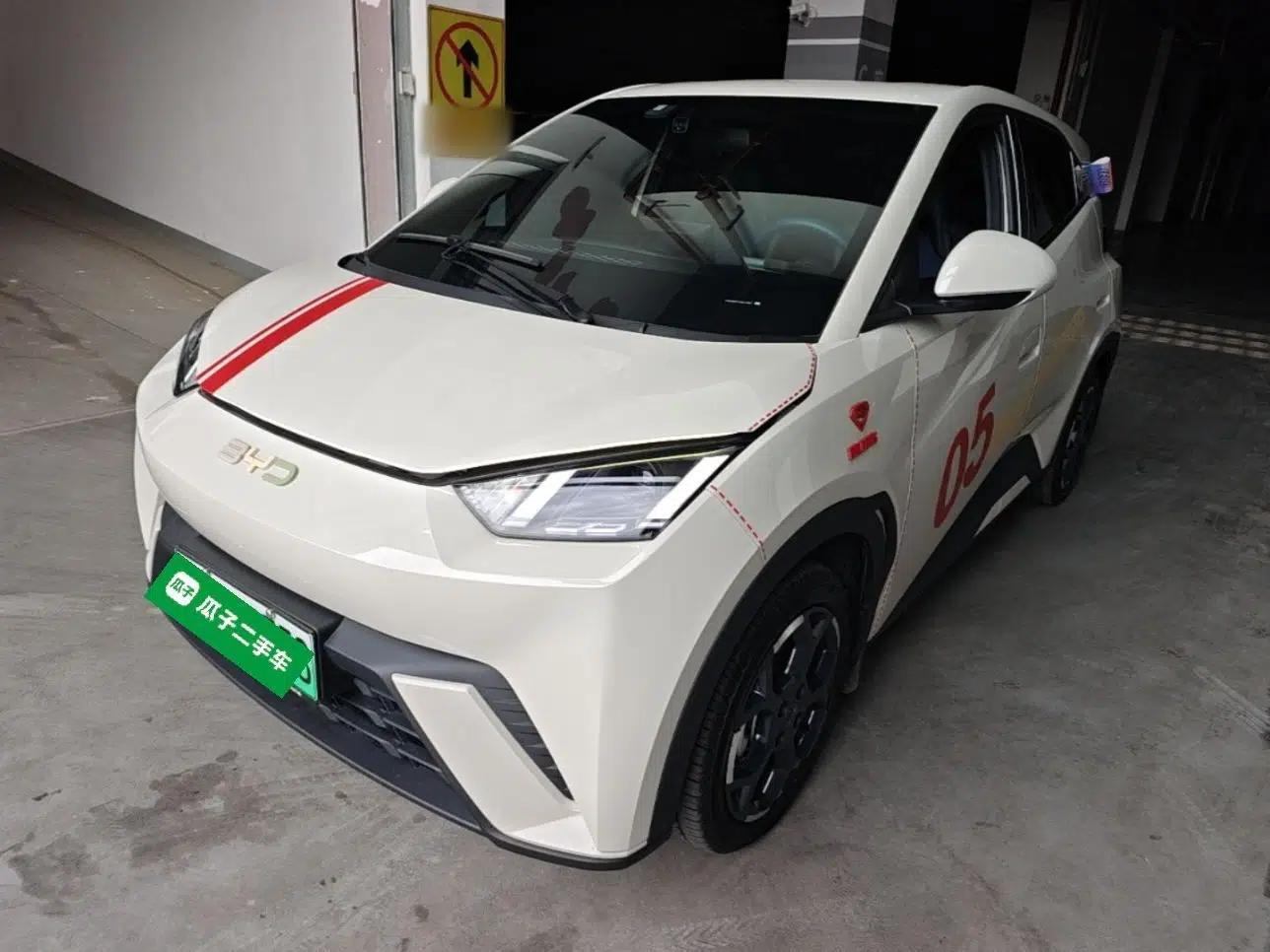 BYD Seagull 2024 Honor Edition 305km Freedom Version — миниатюра 1