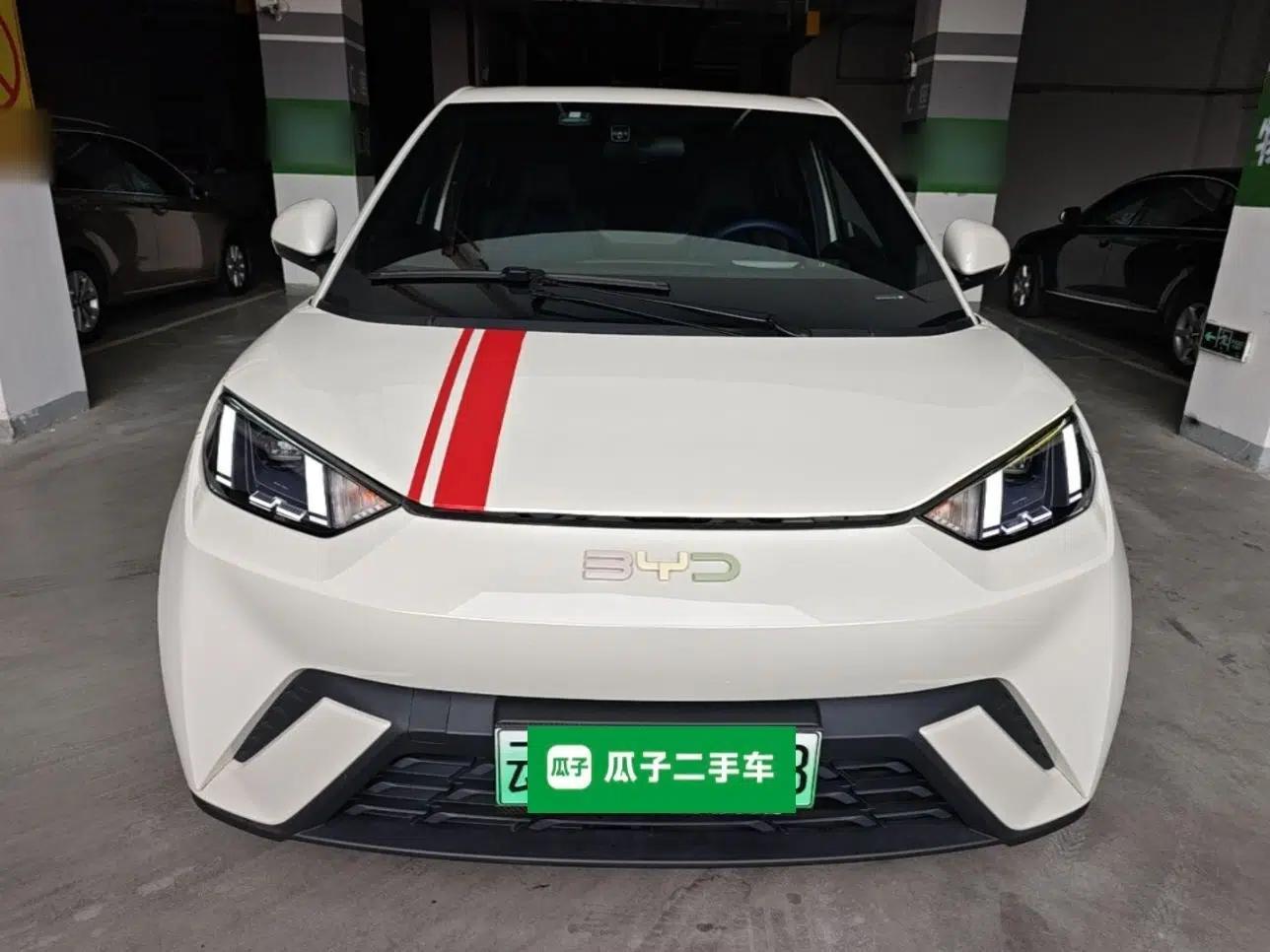 BYD Seagull 2024 Honor Edition 305km Freedom Version — миниатюра 2