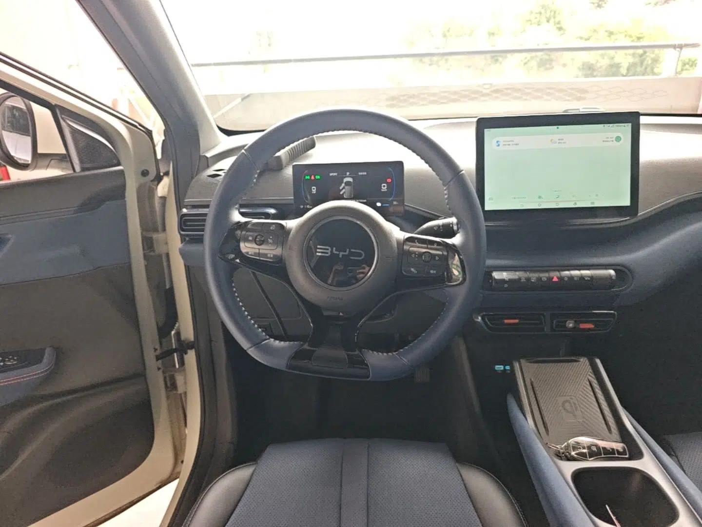BYD Seagull 2024 Honor Edition 305km Freedom Version — миниатюра 12