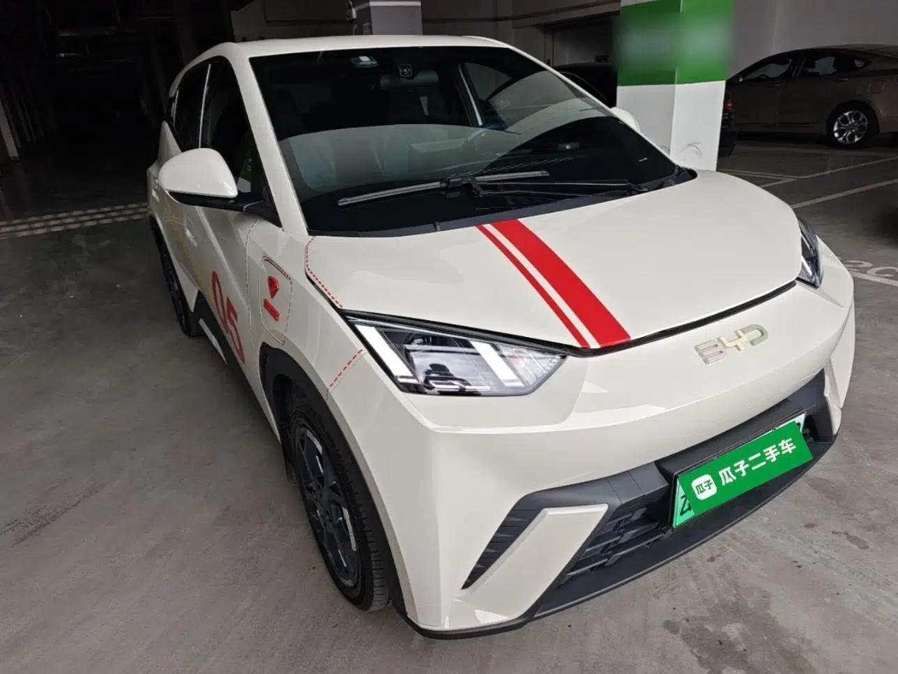 BYD Seagull 2024 Honor Edition 305km Freedom Version — миниатюра 6