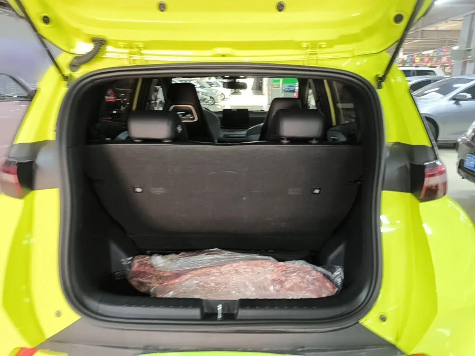 BYD Seagull 2023 Active Version — миниатюра 21