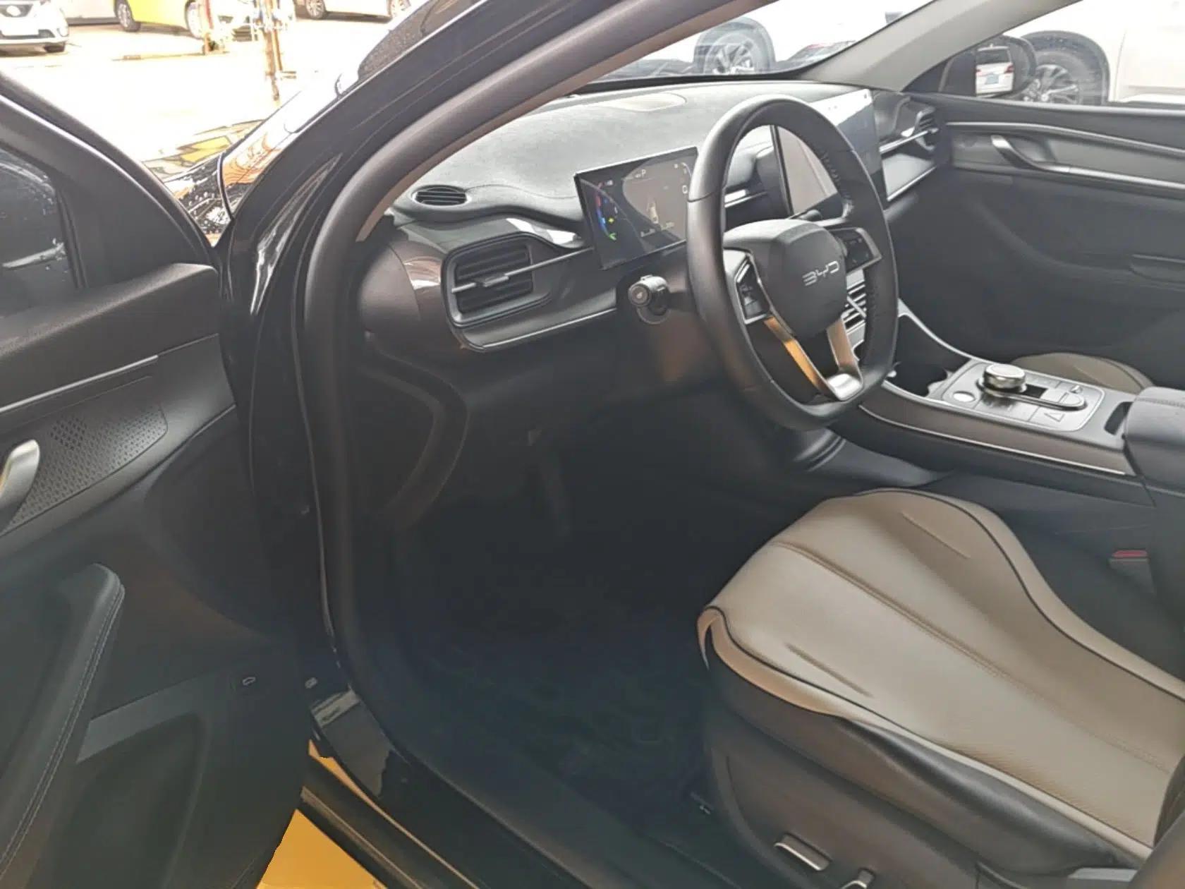 BYD Destroyer 05 2023 Champion Edition DM-i 120KM Prestige Model — миниатюра 19