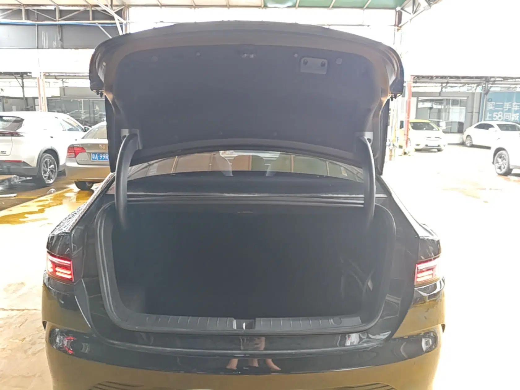 BYD Destroyer 05 2023 Champion Edition DM-i 120KM Prestige Model — миниатюра 22