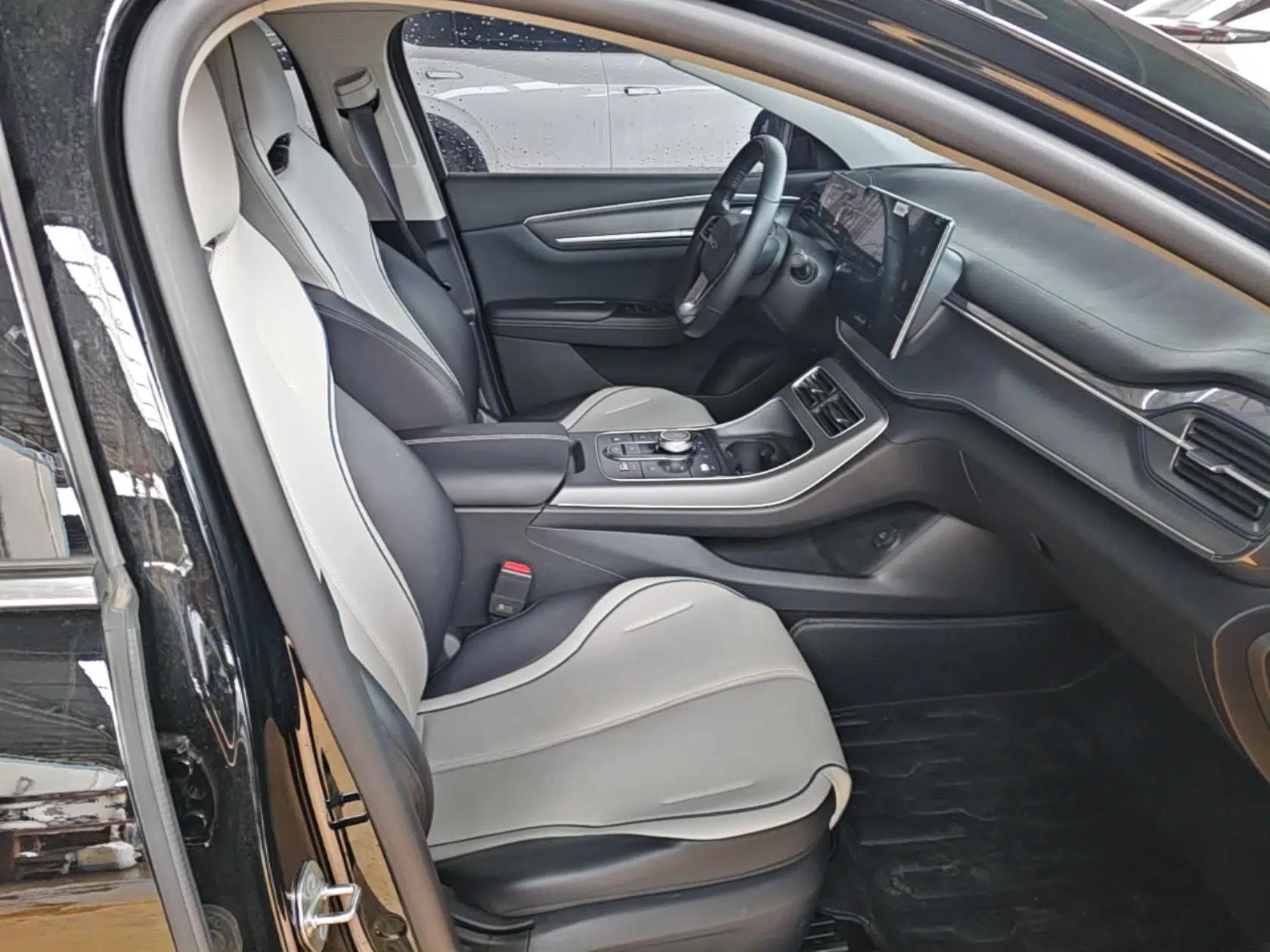 BYD Destroyer 05 2023 Champion Edition DM-i 120KM Prestige Model — миниатюра 23