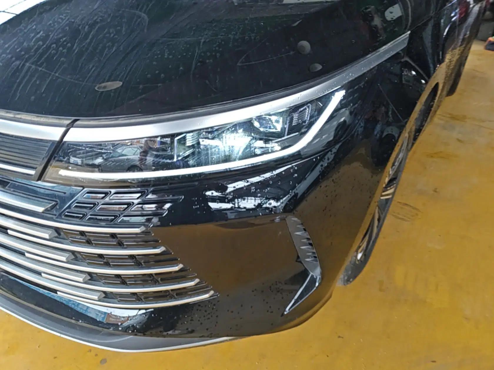 BYD Destroyer 05 2023 Champion Edition DM-i 120KM Prestige Model — миниатюра 9