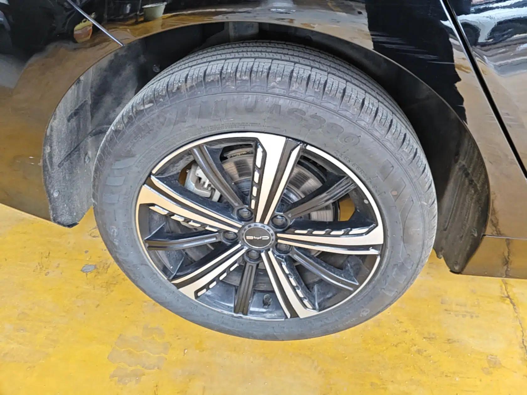 BYD Destroyer 05 2023 Champion Edition DM-i 120KM Prestige Model — миниатюра 10