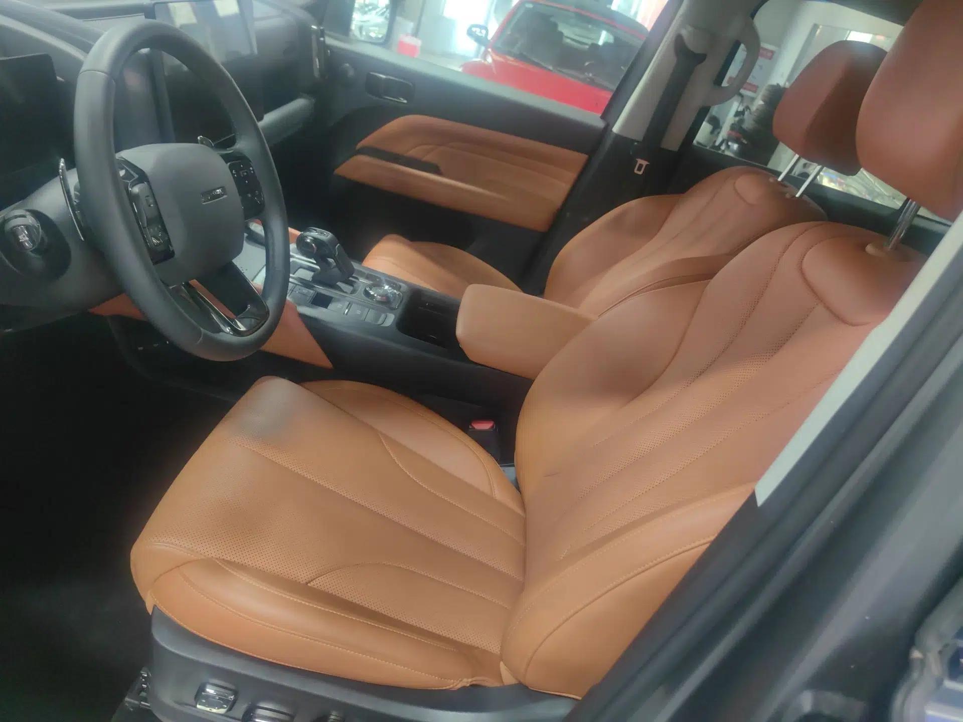 Haval H9 2024 2.0T Gasoline All-Wheel-Drive Extreme Edition — миниатюра 13