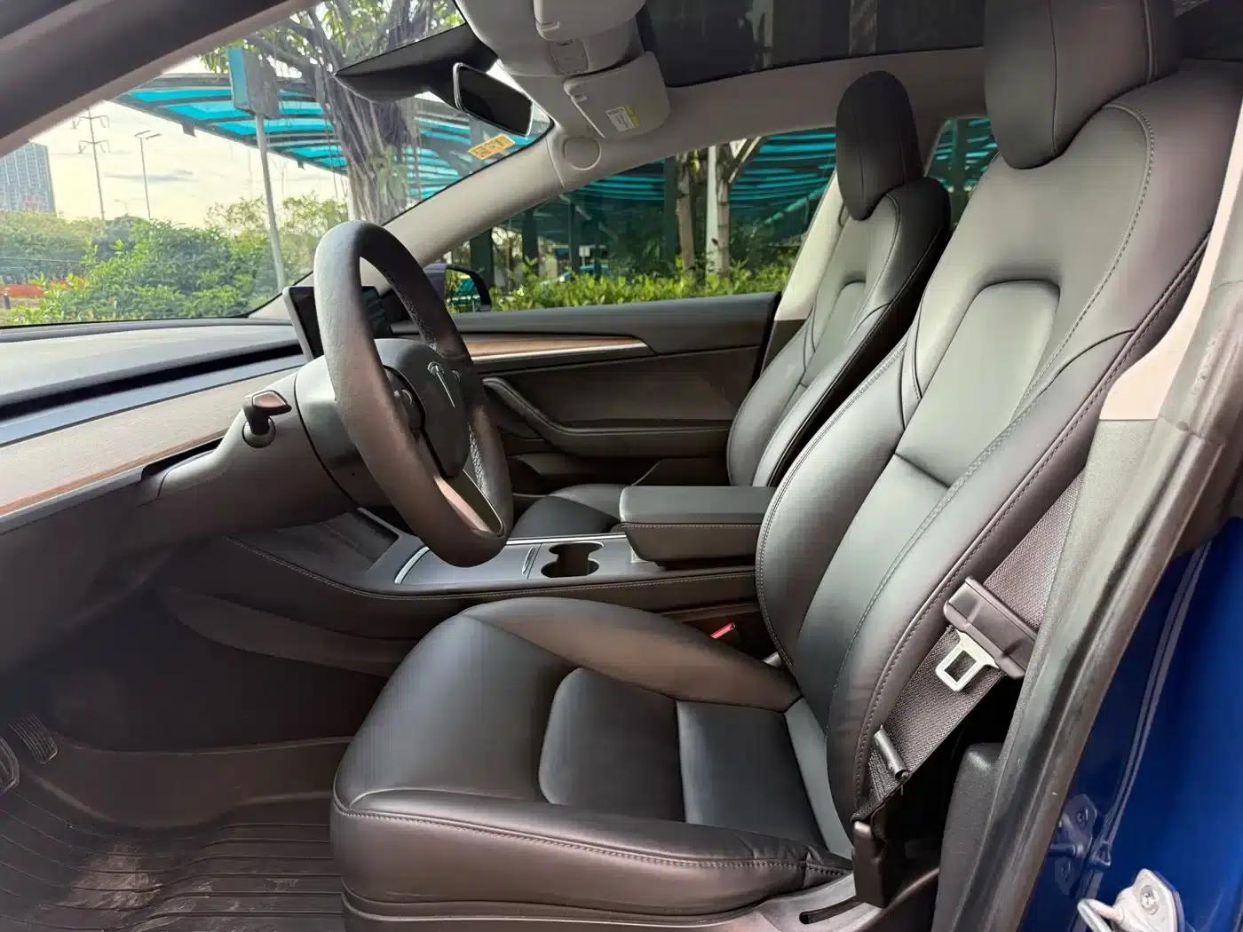 Model 3 2021 Standard Range Rear-Wheel Drive Upgrade — миниатюра 4