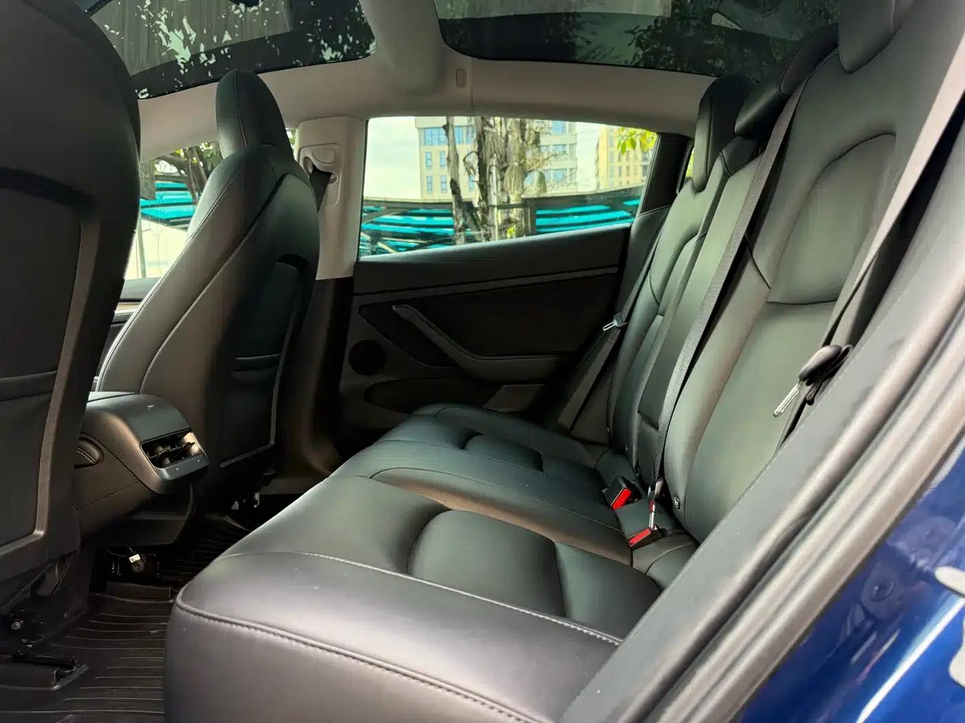 Model 3 2021 Standard Range Rear-Wheel Drive Upgrade — миниатюра 6