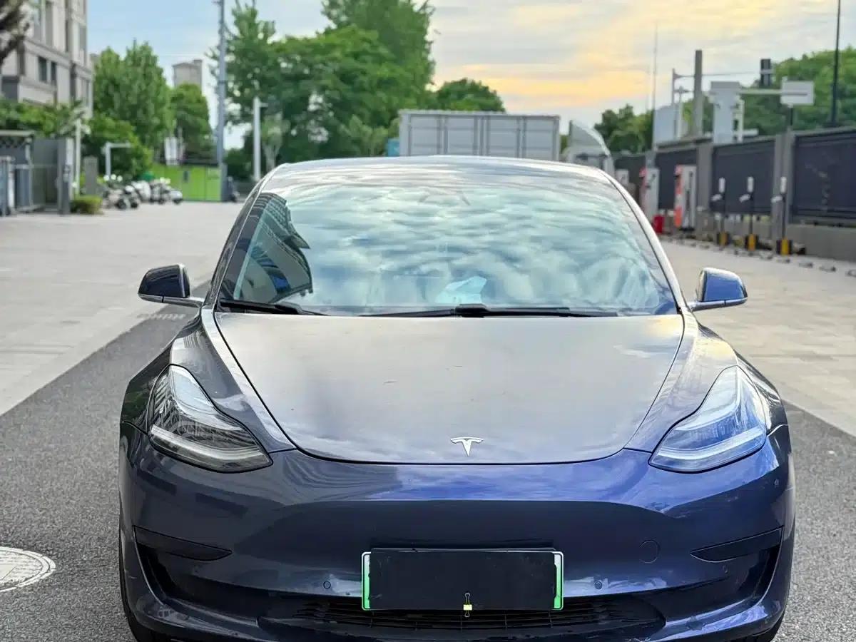 Model 3 2020 Standard Range Rear-Wheel Drive Upgrade — миниатюра 10