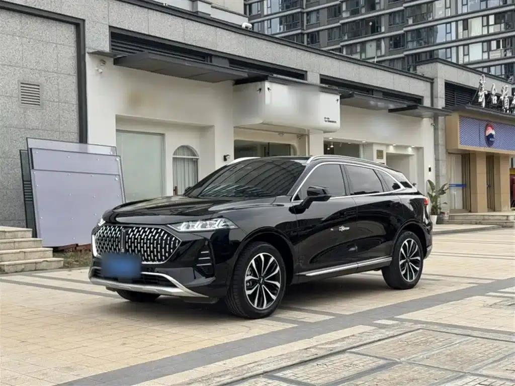 Wei brand Mocha 2021 2.0T 2WD Extra Rich Edition — миниатюра 2