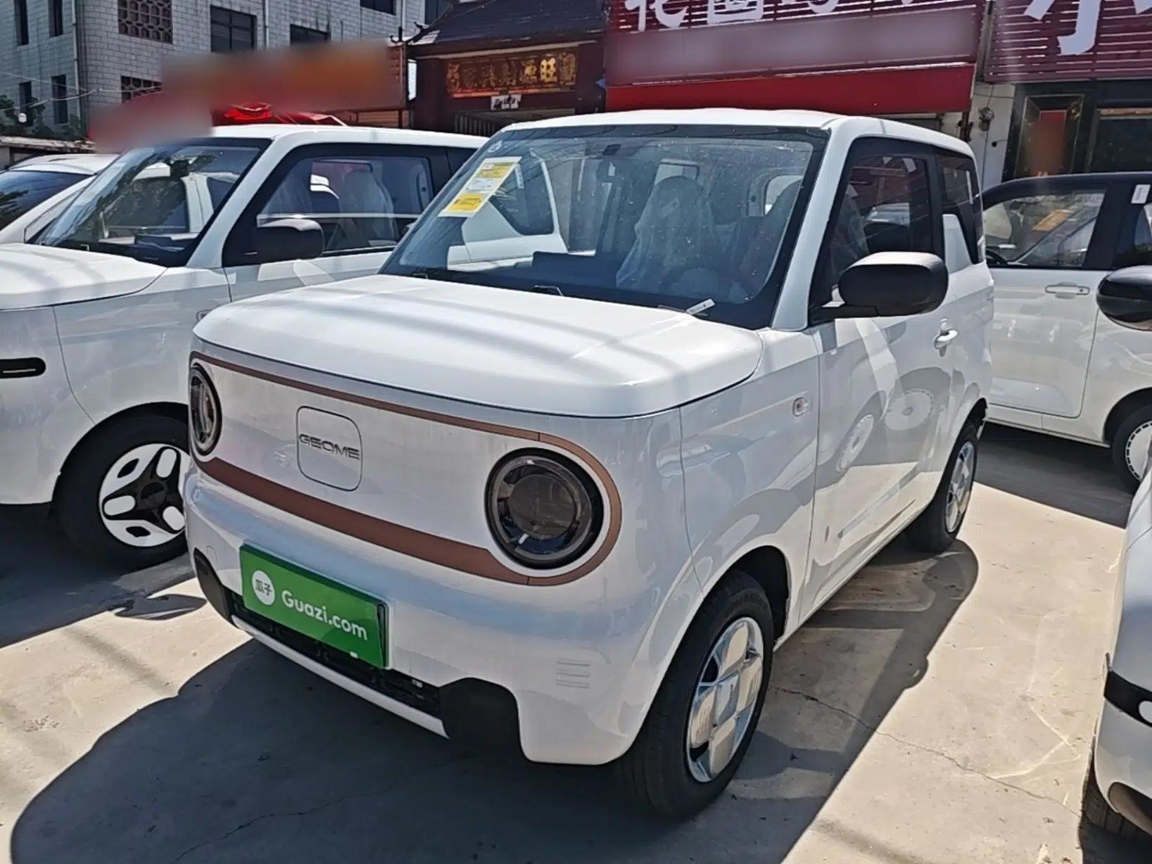 Geely Galaxy Panda 2024 Panda Mini 200km Endurance Bear — миниатюра 1