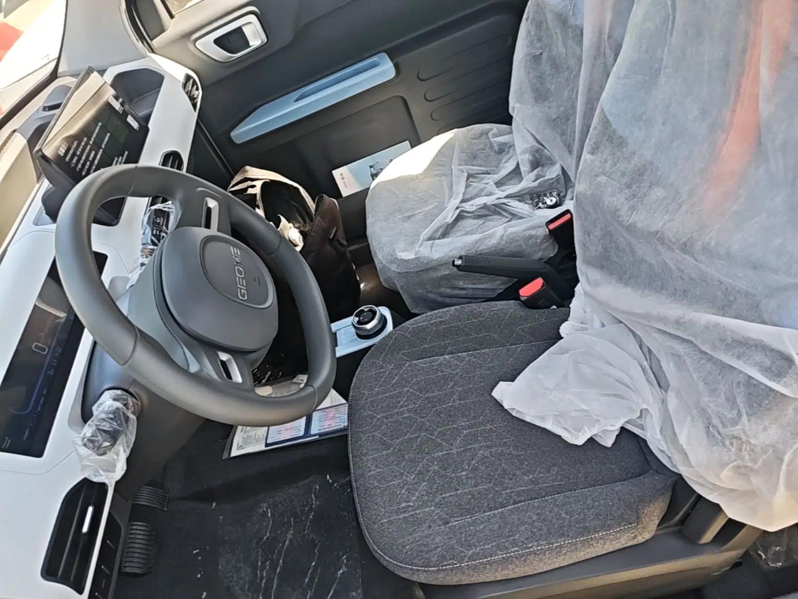 Geely Galaxy Panda 2024 Panda Mini 200km Endurance Bear — миниатюра 18