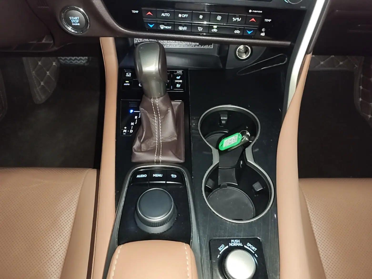 Lexus RX 2016 300 Two-Wheel Drive Comfort Edition China V Standard — миниатюра 17