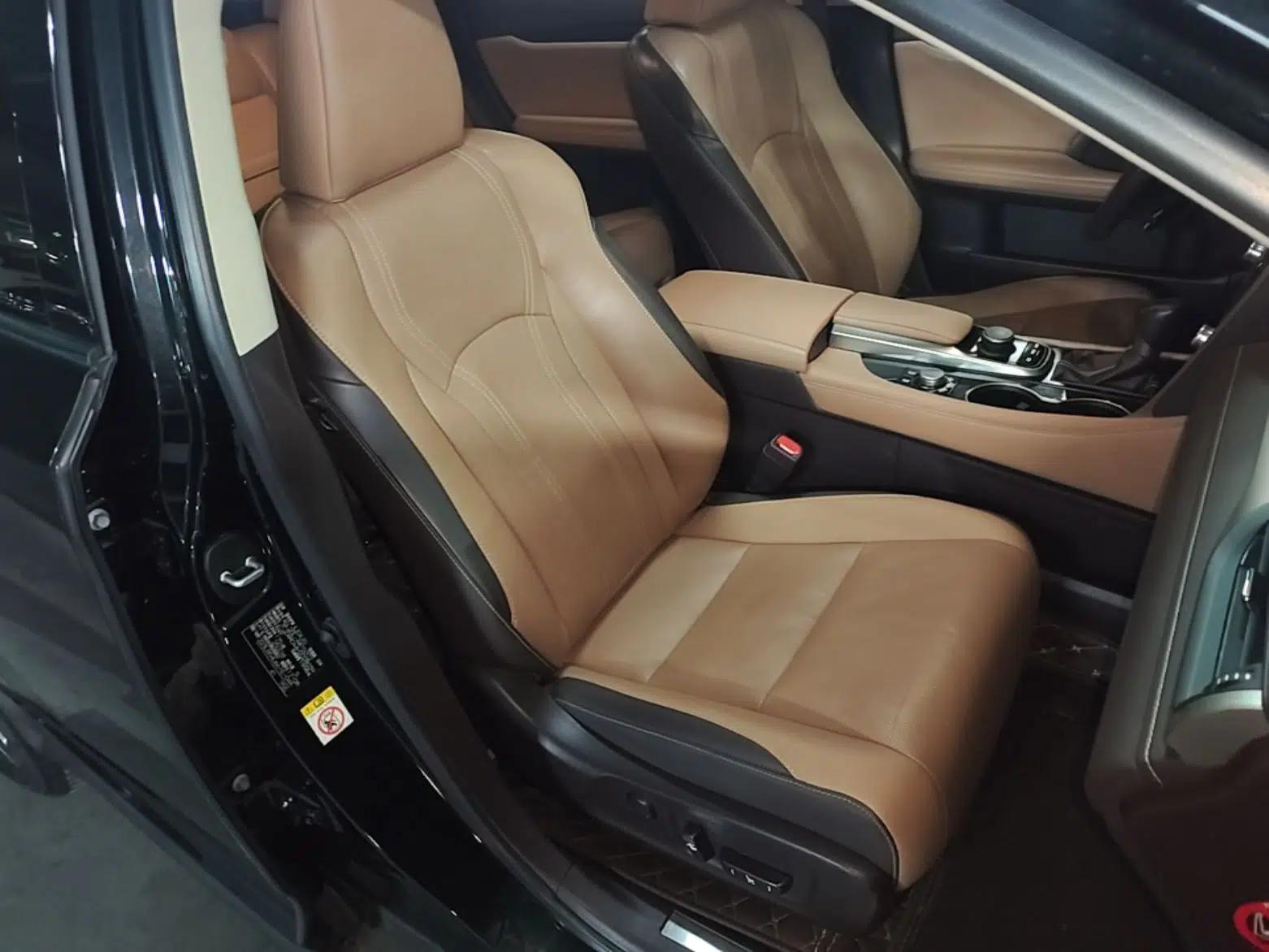 Lexus RX 2016 300 Two-Wheel Drive Comfort Edition China V Standard — миниатюра 23