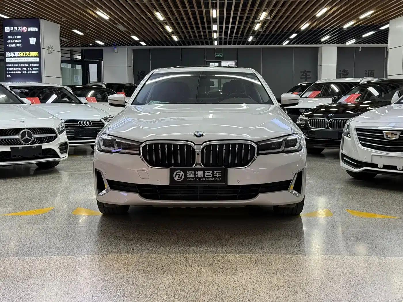 2021 BMW 5 Series 525Li Luxury Package — миниатюра 2