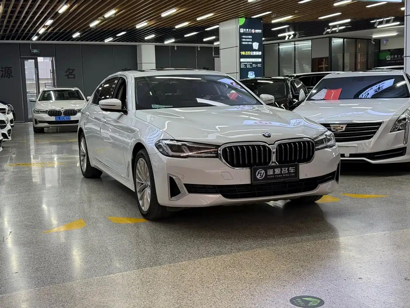2021 BMW 5 Series 525Li Luxury Package — миниатюра 3
