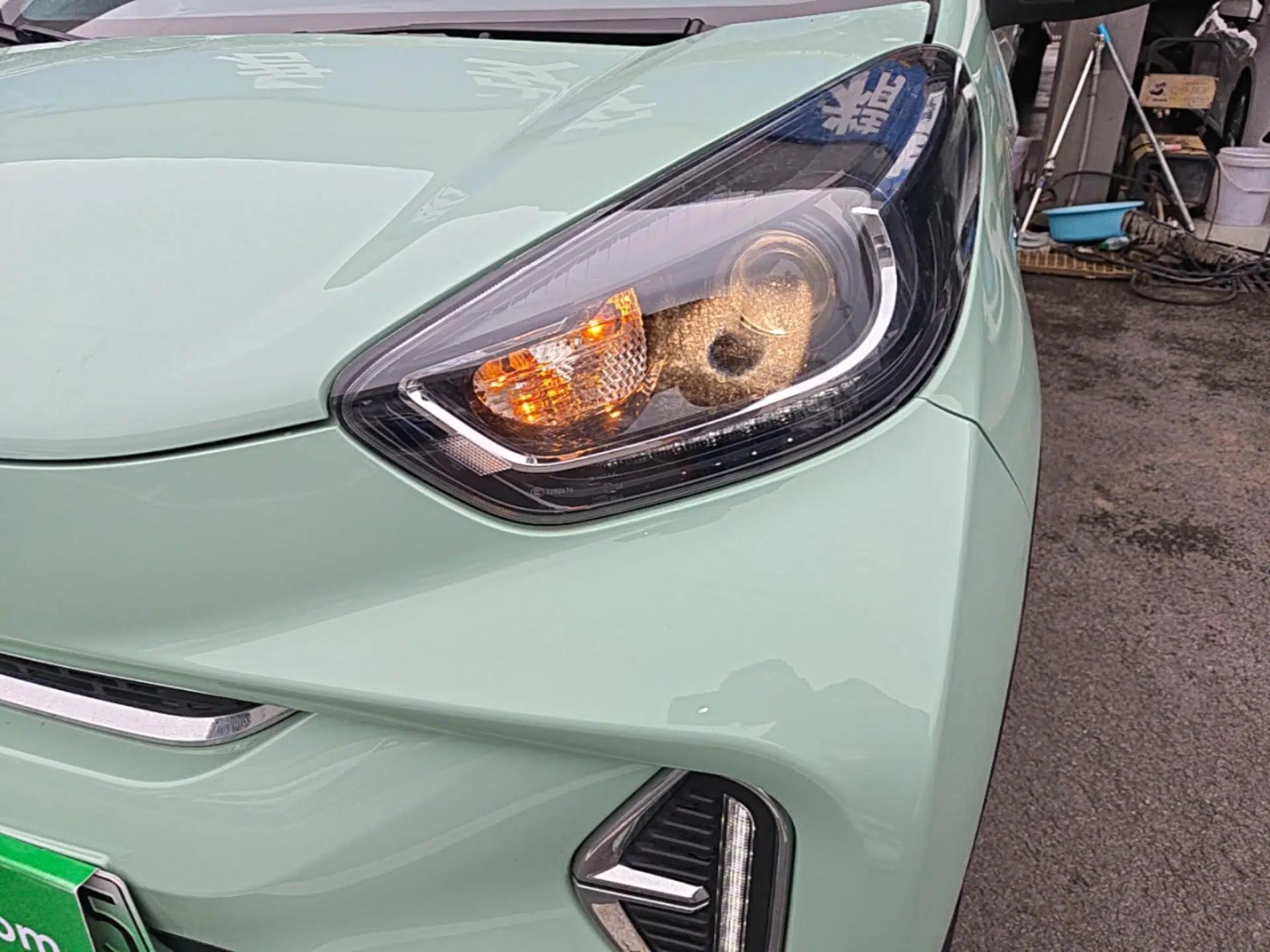 Chery QQ Little Ant 2022 Sweet Pink Edition Half-Sugar Version Lithium Iron Phosphate 30 kW 301 km — миниатюра 9