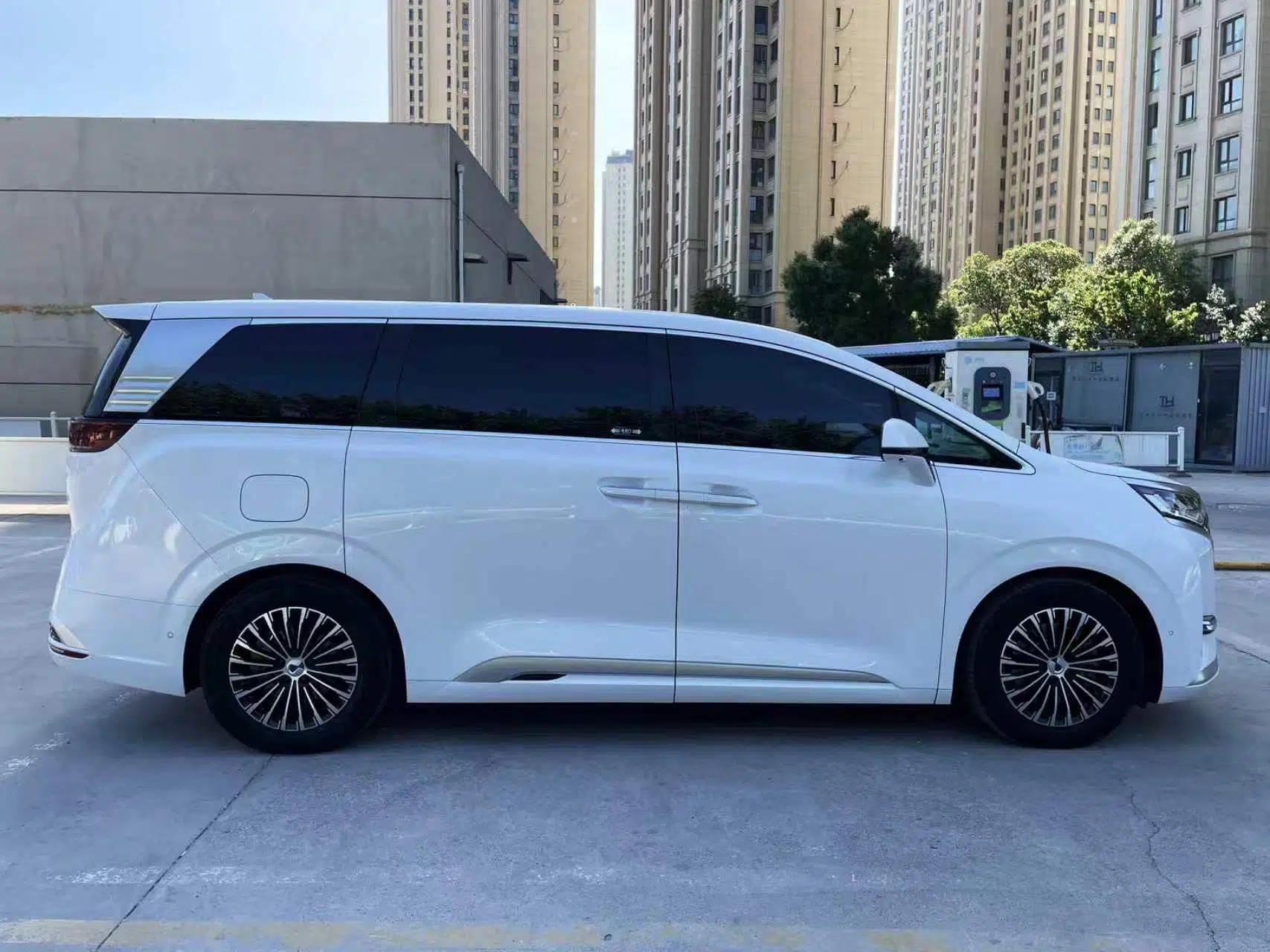 Denza D9 2024 DM-i 980 Four-Wheel Drive Flagship Model — миниатюра 6