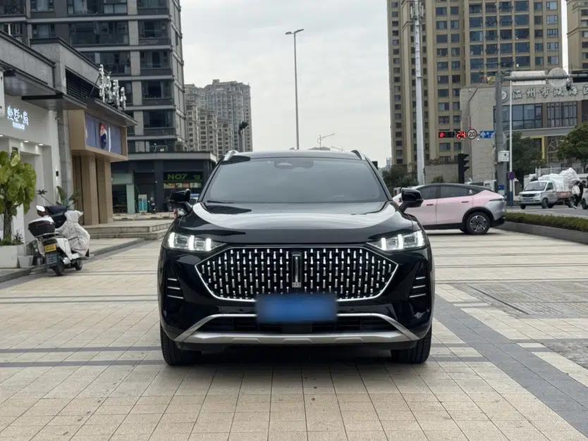 Wey Mocha 2021 2.0T Two-Wheel-Drive Ultra-Strong Version — миниатюра 3