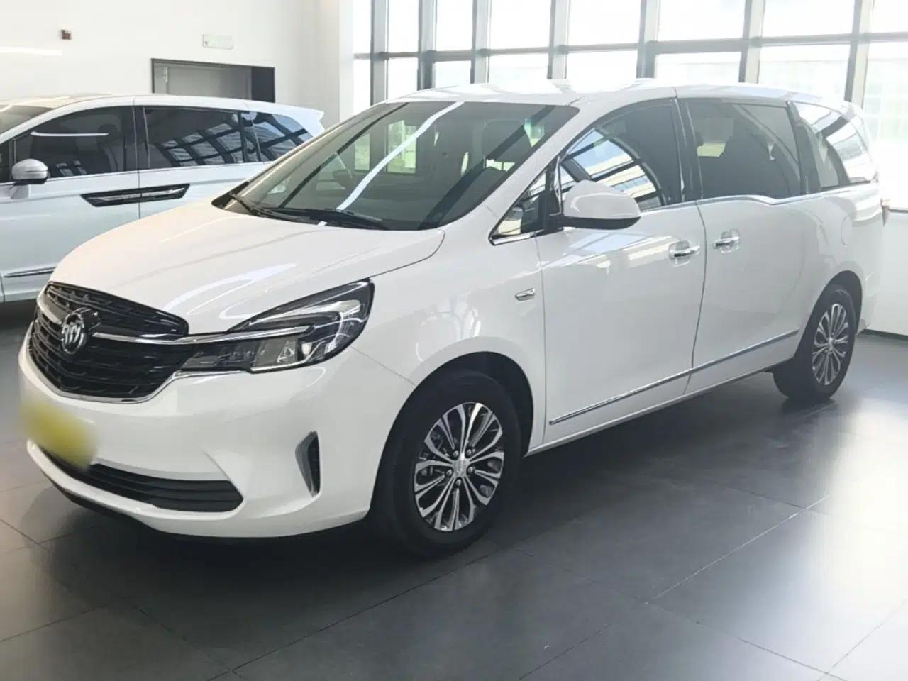 Buick GL8 2021 Land Cruiser Executive Class 652T Luxury Model — миниатюра 1