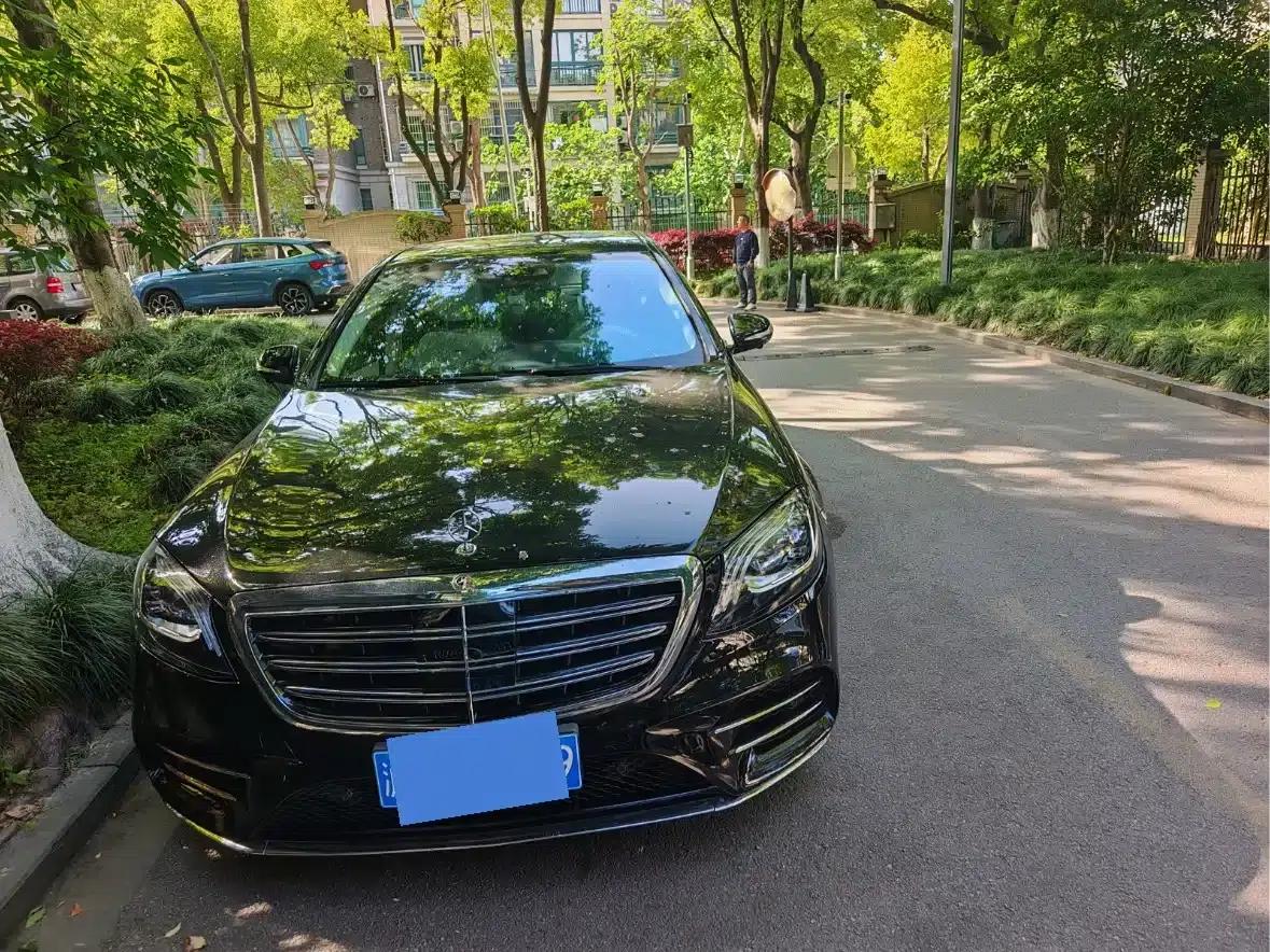 2019 Mercedes-Benz S-Class S 450 L 4MATIC Limited Edition — миниатюра 2
