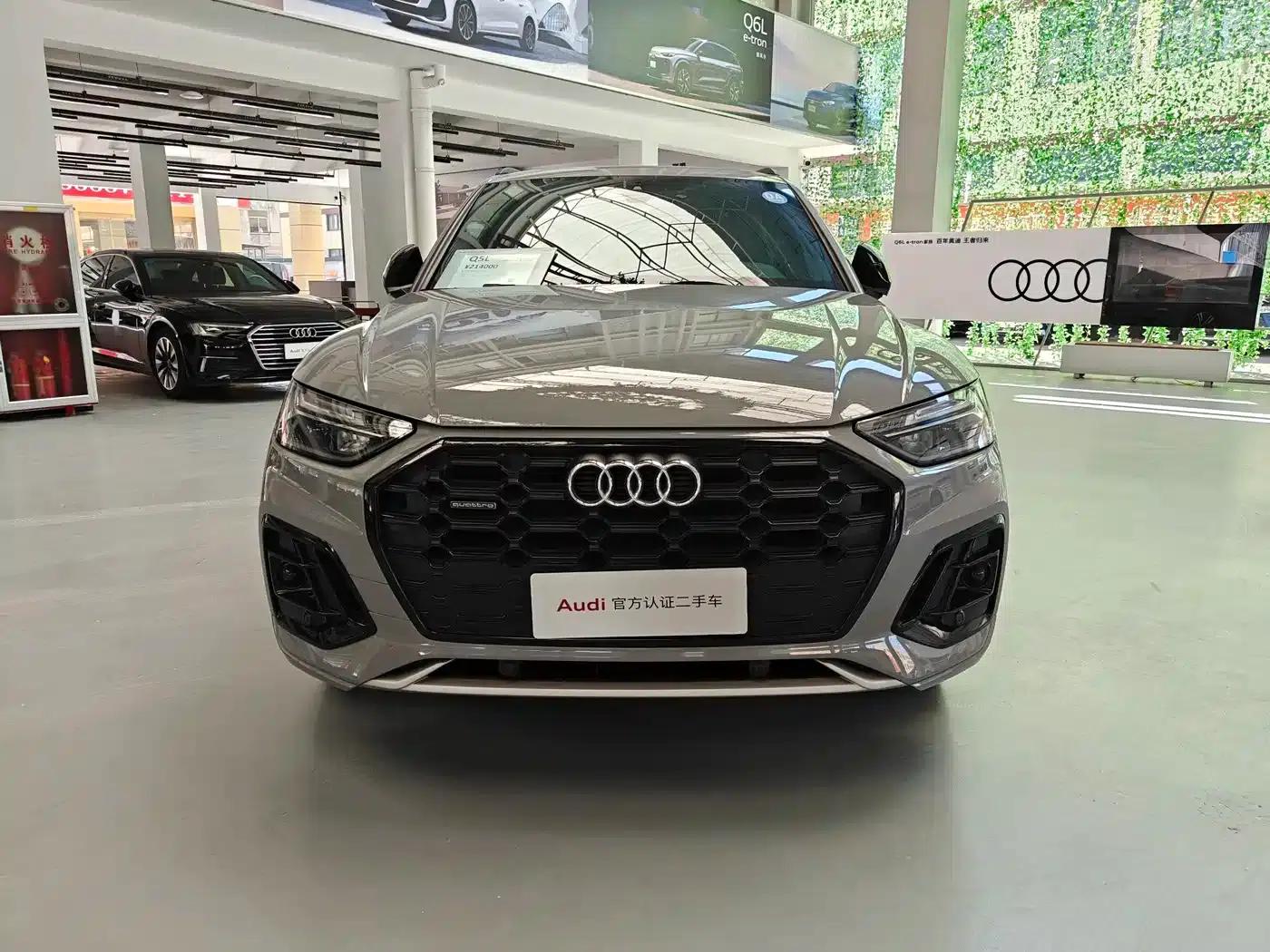 Audi Q5L 2025 40 TFSI Luxury Dynamic — миниатюра 2