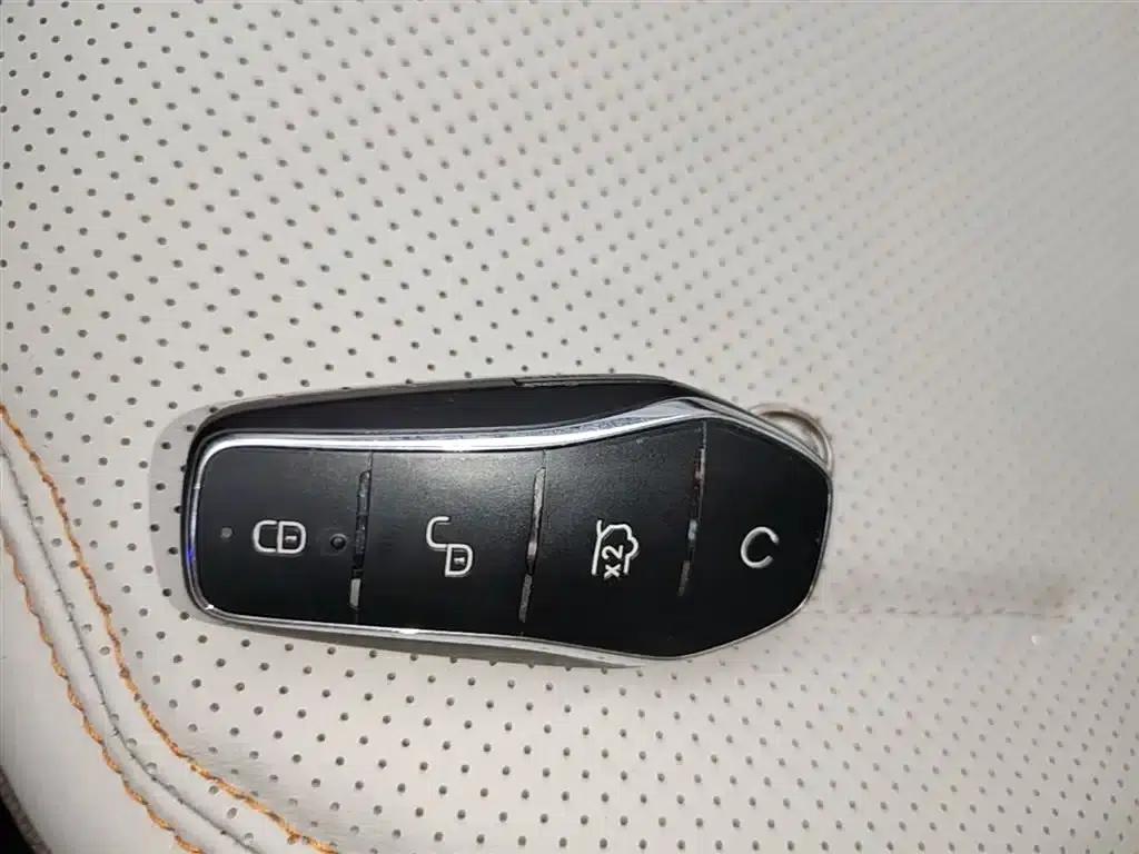 Qin PLUS 2024 Glory Edition DM-i 55KM Leading Model — миниатюра 9