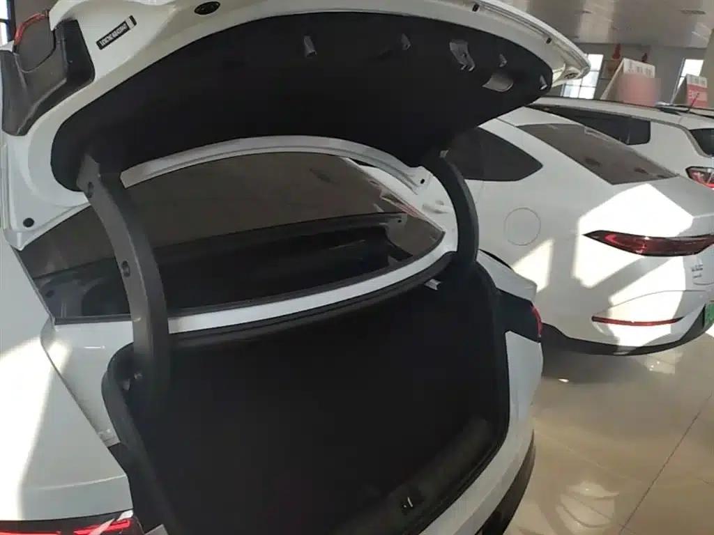 Qin L 2024 DM-i 80KM Leading Edition — миниатюра 19