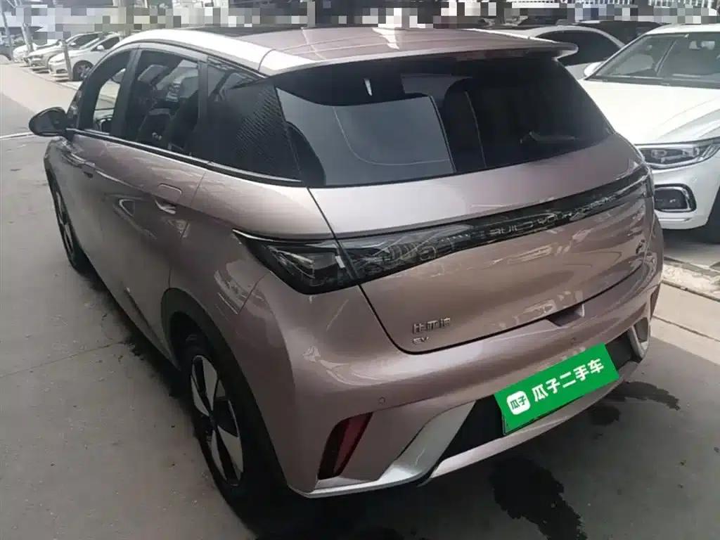 Dolphin 2023 420km Fashion Edition — миниатюра 5