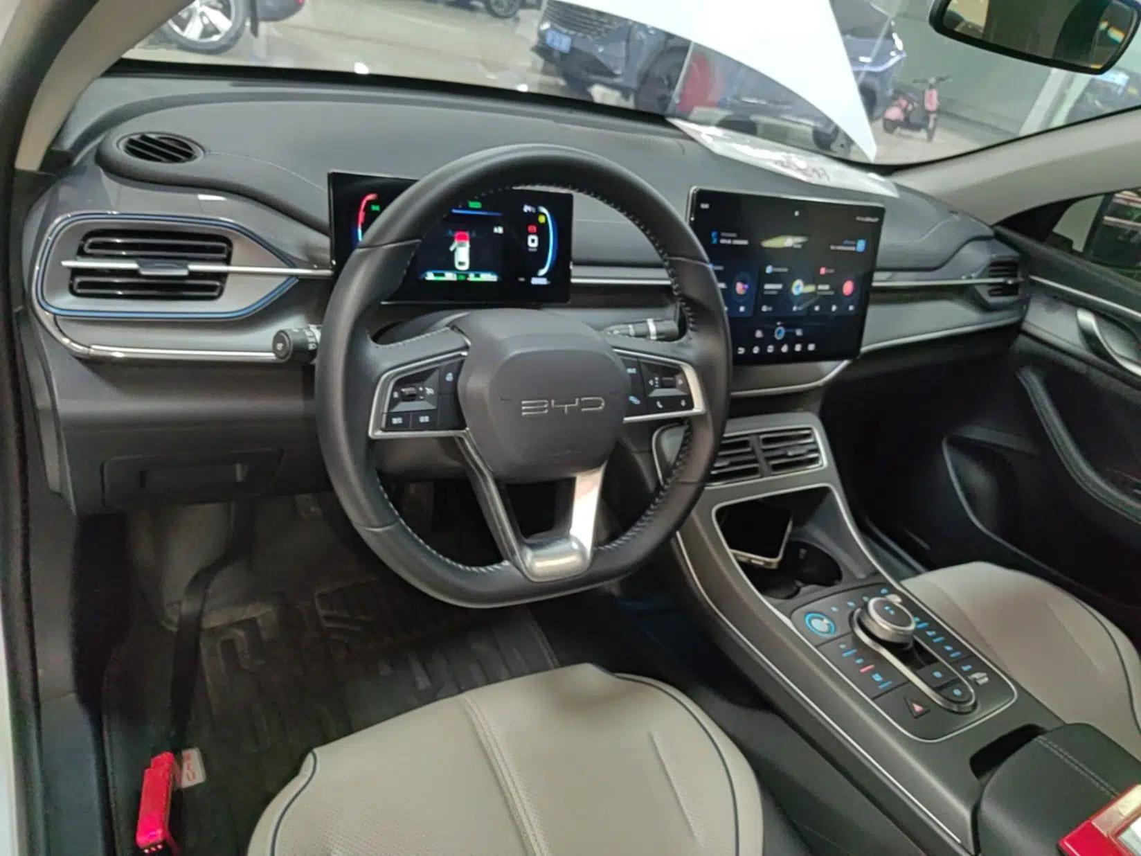 BYD Destroyer 05 2024 HONOR Edition DM-i 55KM Luxury Model — миниатюра 13