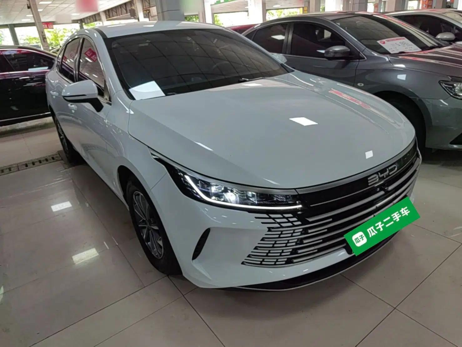 BYD Destroyer 05 2024 HONOR Edition DM-i 55KM Luxury Model — миниатюра 3