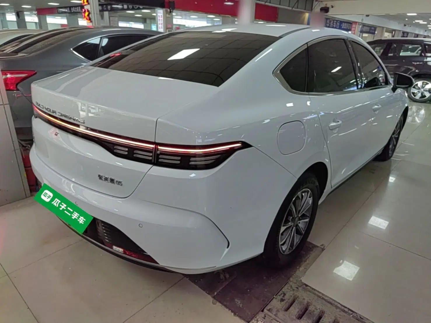 BYD Destroyer 05 2024 HONOR Edition DM-i 55KM Luxury Model — миниатюра 6