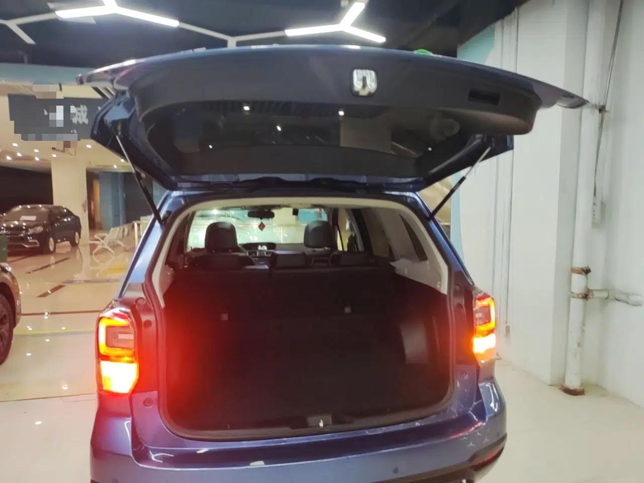Subaru Forester 2018 2.5i Luxury Navigation Edition — миниатюра 22