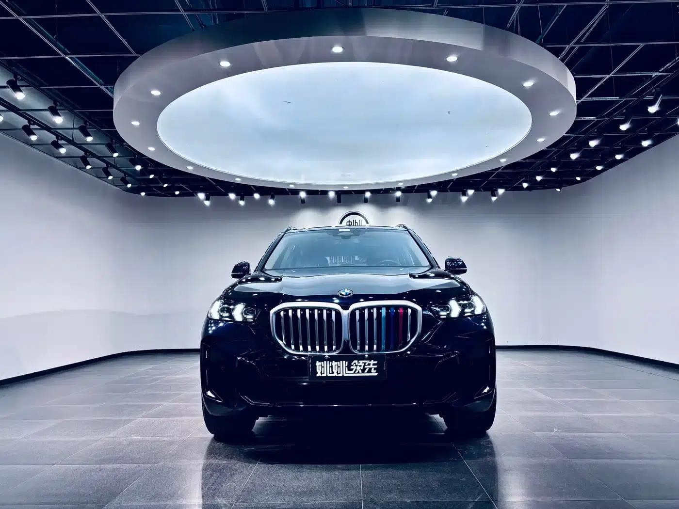 BMW X5 2023 xDrive 30Li M Sport Shadow Edition — миниатюра 2