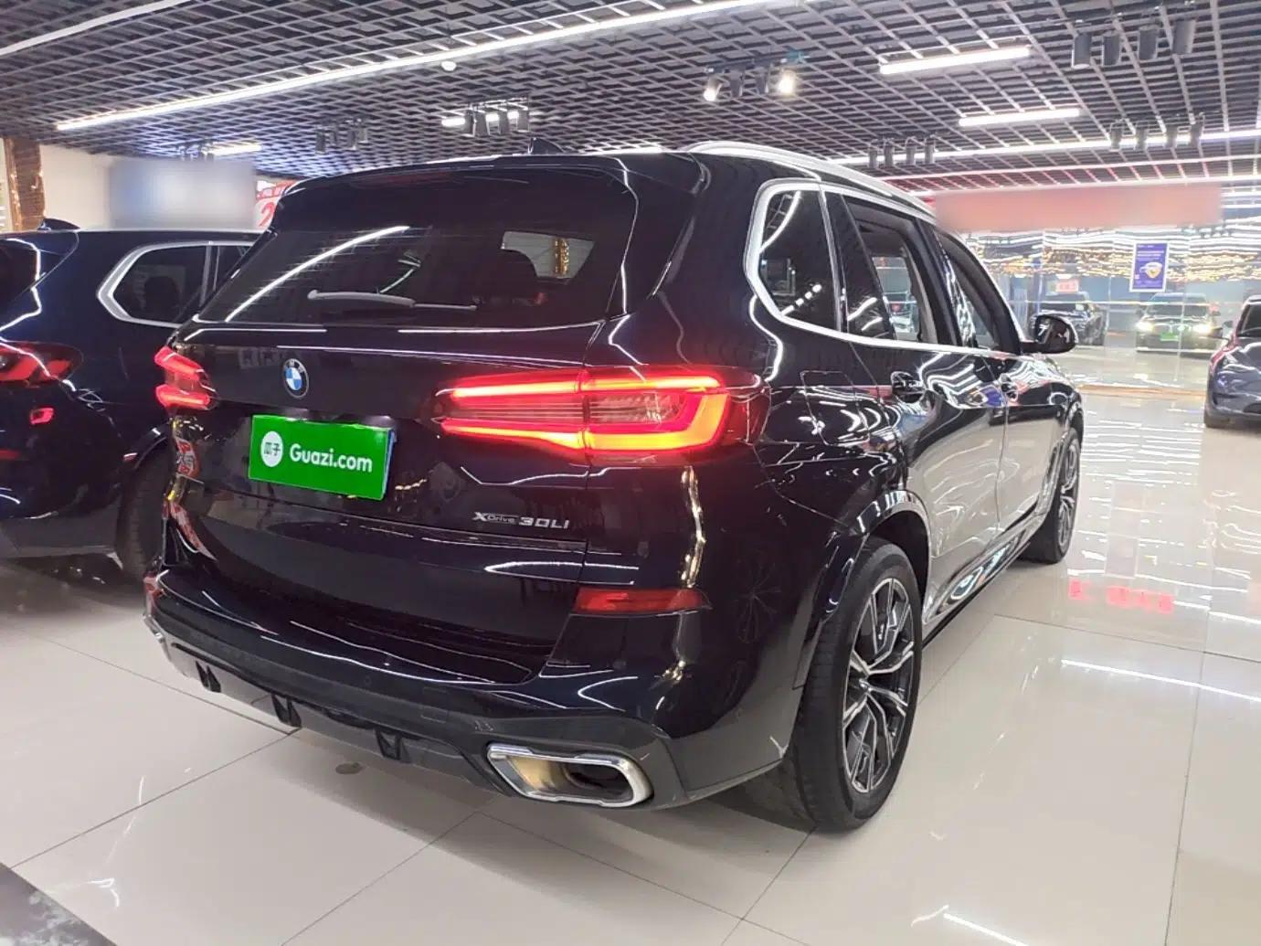 BMW X5 2022 Restyled xDrive 30Li Luxury Version M Sport Package — миниатюра 6