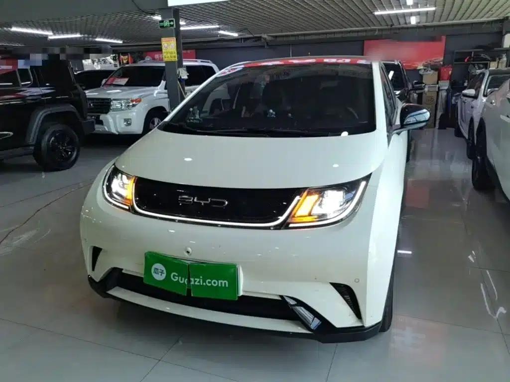 Dolphin 2023 420km Fashion Edition — миниатюра 3