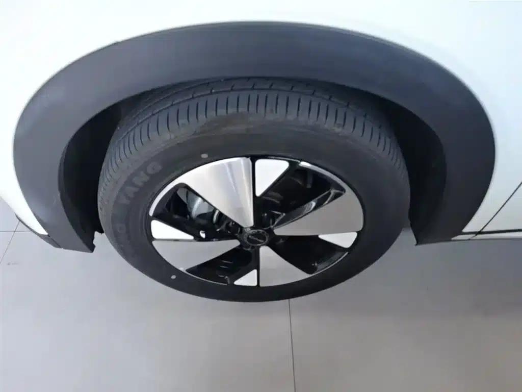 Dolphin 2023 420km Fashion Edition — миниатюра 23