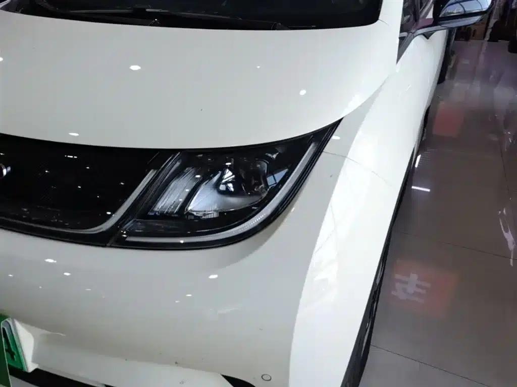 Dolphin 2023 420km Fashion Edition — миниатюра 24
