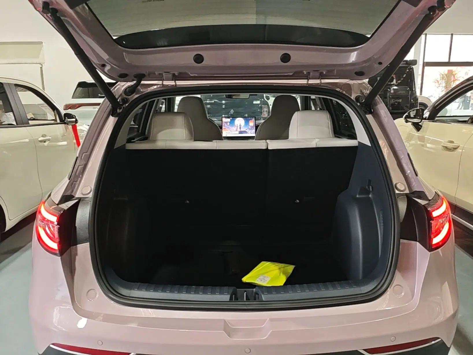 Geely Galaxy Geome 2025 310km Dream Edition — миниатюра 22