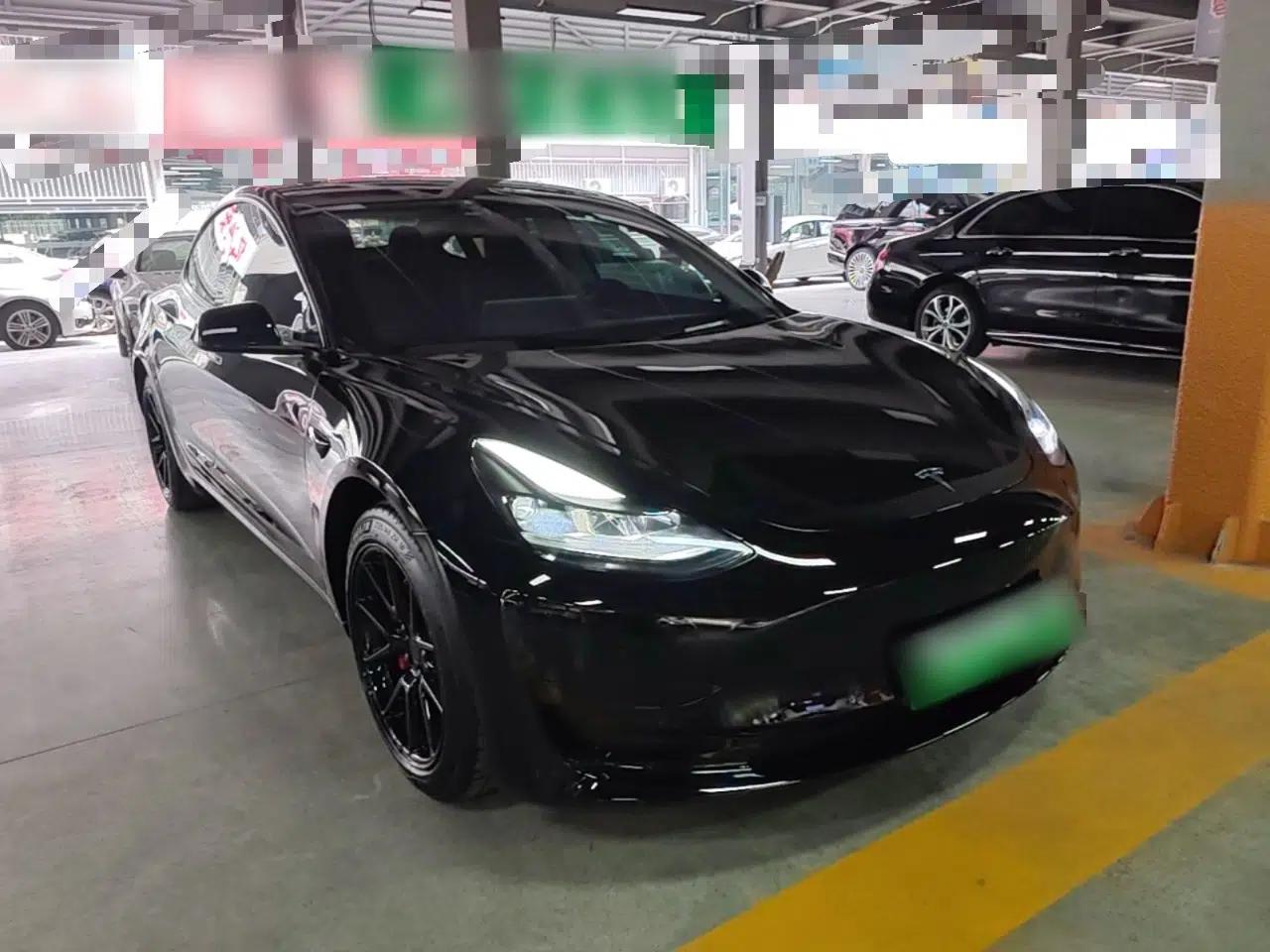 Tesla Model 3 2021 Revised Version Standard Range Rear-Wheel Drive Upgraded Edition 3D1 — миниатюра 3